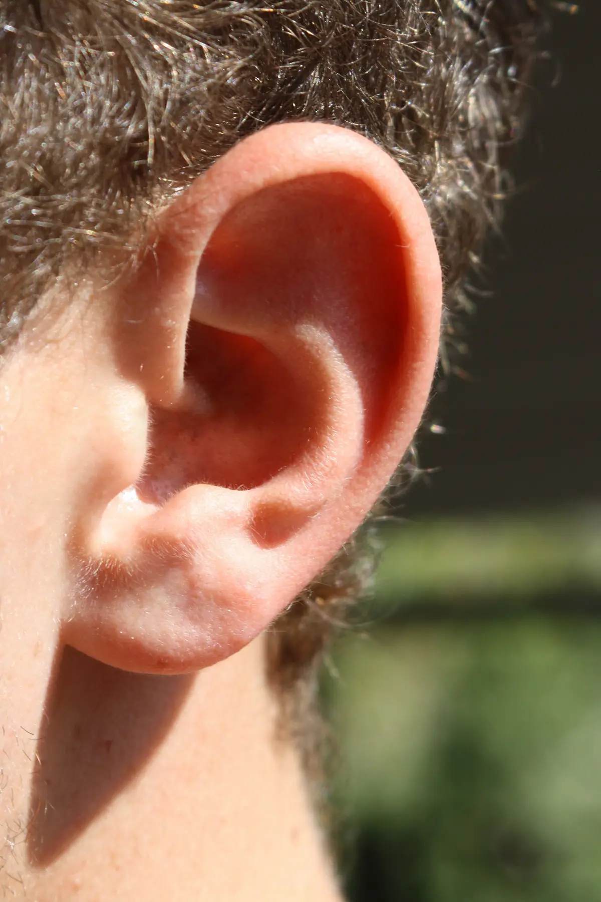 Close-up photograph of a human outer ear
